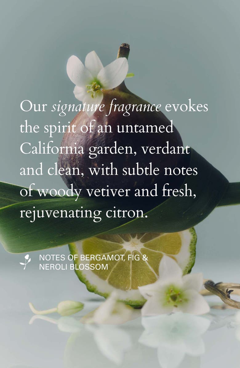 ROZ Willow Glen Treatment Oil, Alternate, color, 