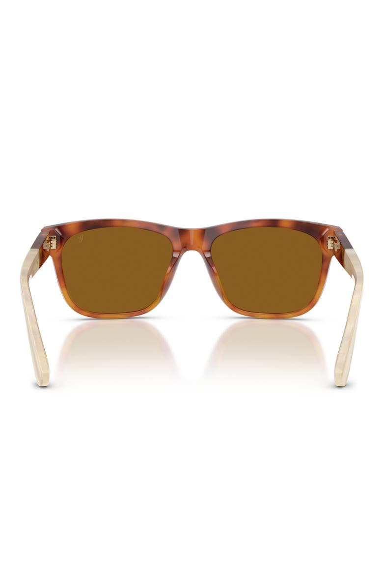 55mm Pillow Sunglasses, Alternate, color, HAVANA / TERRACOTTA