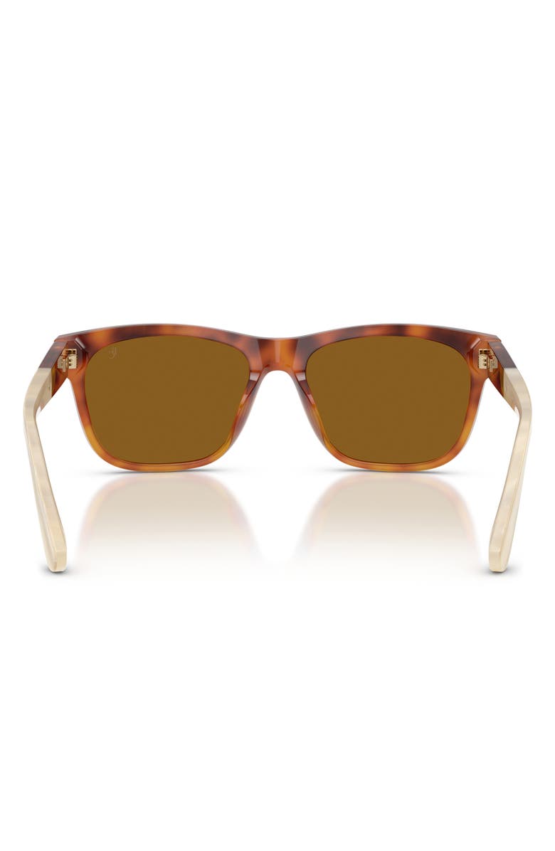Brunello Cucinelli 55mm Pillow Sunglasses, Alternate, color, Havana / Terracotta