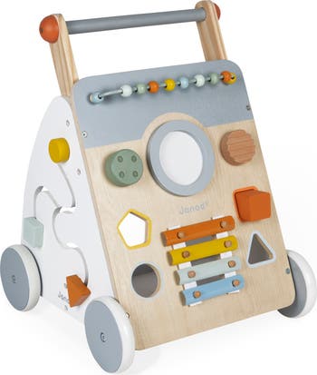 Sweet Cocoon Multi-Activity Walker