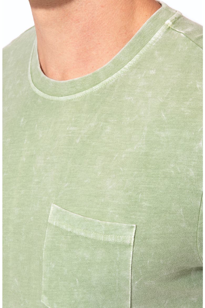 Graphite Organic Cotton Blend T-Shirt, Alternate, color, FOLIAGE