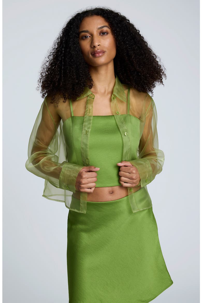 Kenneth Cole Sheer Organza Button-Up Shirt (Women) | Nordstrom