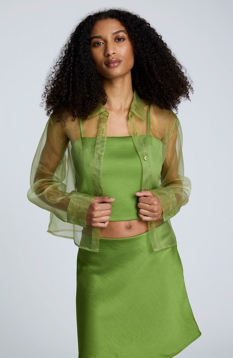 Kenneth Cole Sheer Organza Button-Up Shirt, Alternate, color, Cactus Green