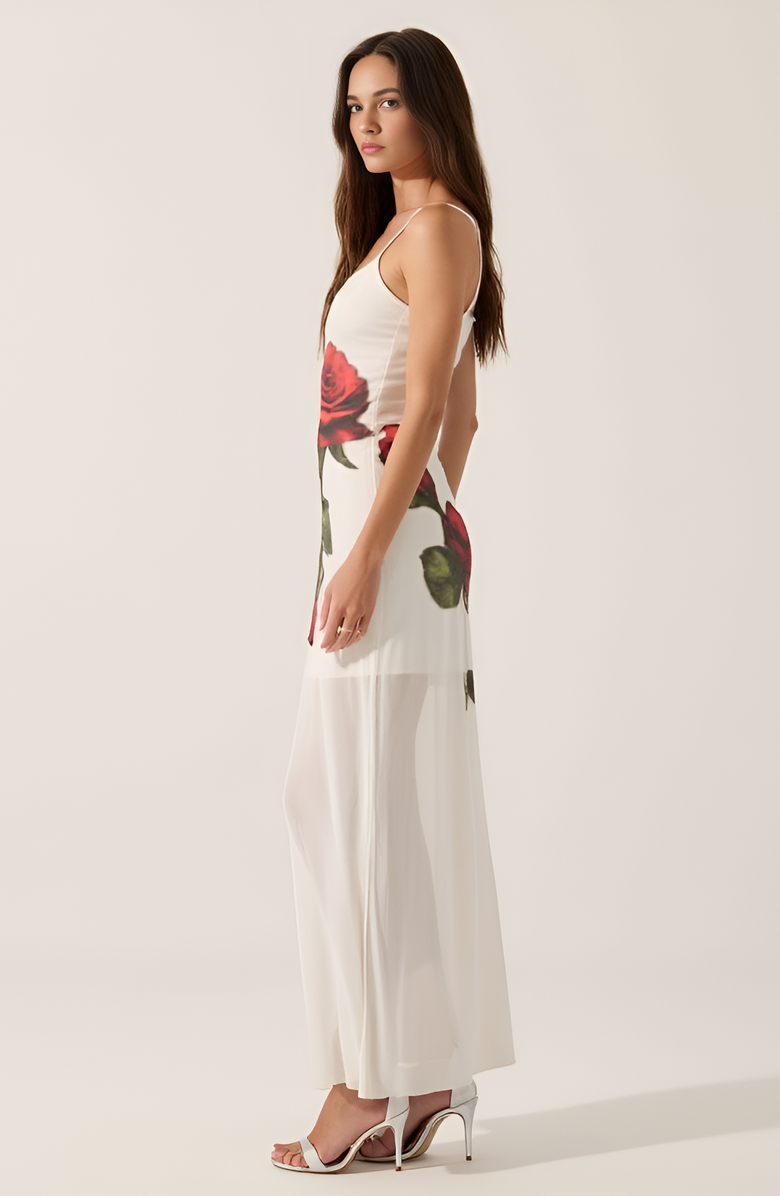 Modenaire Sheer Mesh Maxi Dress with Spaghetti Straps, Alternate, color, 