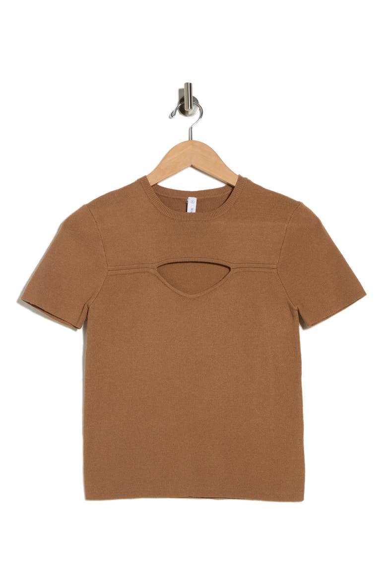 Cutout Short Sleeve Knit Top, Alternate, color, CINNAMON