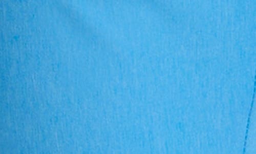 Robert Graham Grady Straight Fit Pants In Blue