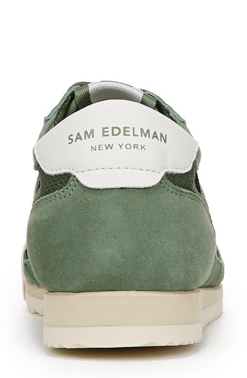 Sam Edelman Irma Lace Up Sneaker Green Agave Suede In Green Agave/sugar