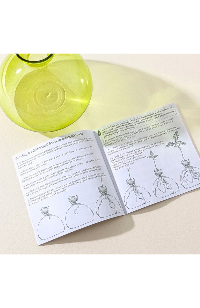 Uncommon Goods Avocado Vase by ilex Studio, Alternate, color, 