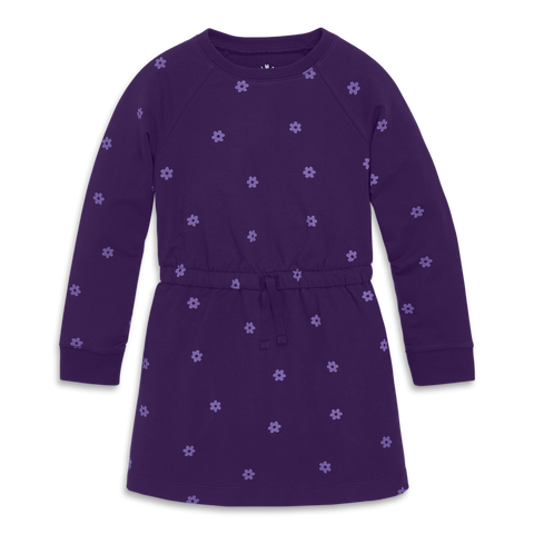 Kids Sweatshirt Dress (Toddler, Little Kid, Big Kid)