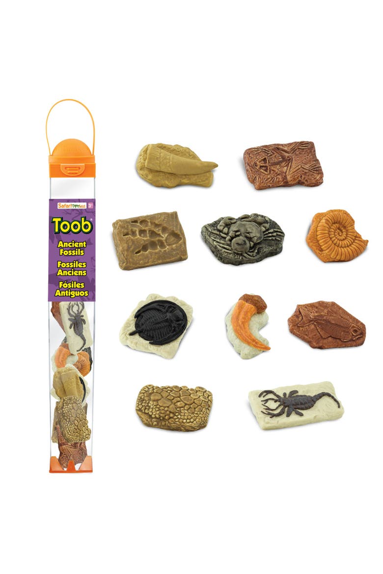 Ancient Fossils Toy, Main, color, No Color