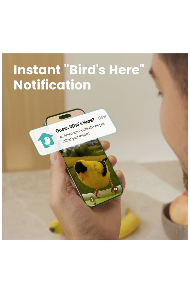 Smart Metal Bird Feeder with Camera, Alternate, color, GREEN