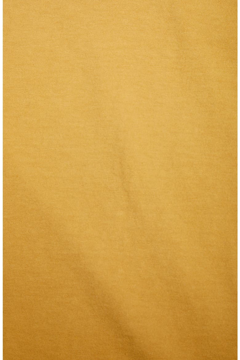 Shadazz Print Graphic Tee (Nordstrom Exclusive), Alternate, color, DRIED SUNFLOWER