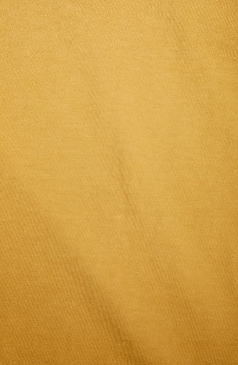 Brownstone Shadazz Print Graphic Tee, Alternate, color,