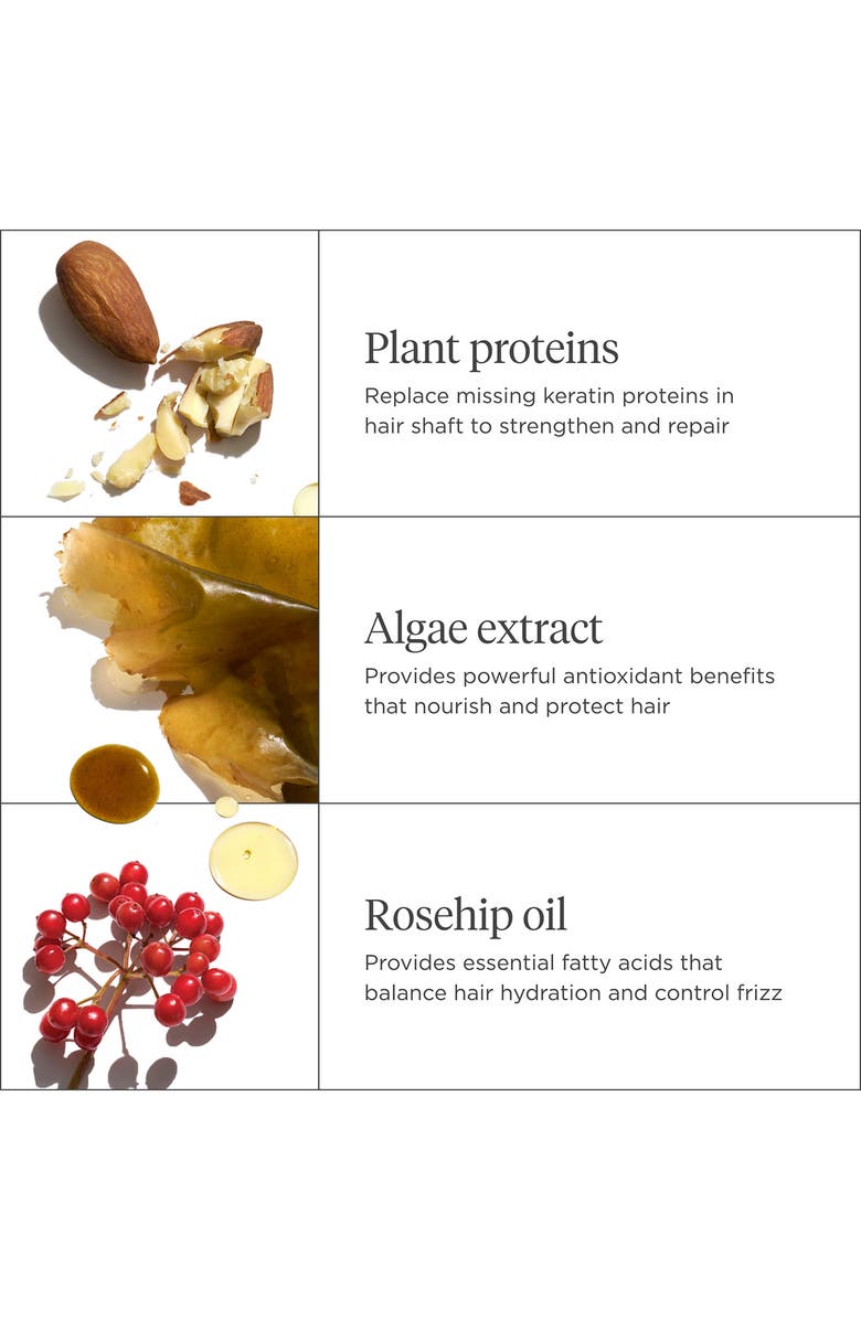 Briogeo Don't Despair, Repair!<sup>™</sup> Super Moisture Shampoo for Damaged Hair, Alternate, color, 