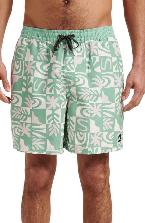 Everyday 17" Terra Swim Trunks
