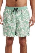 Quiksilver Everyday 17" Terra Swim Trunks