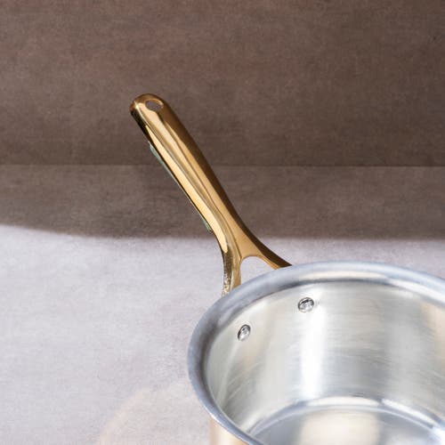 P-tal Brass Saucepan With Insulated Handle In Brown