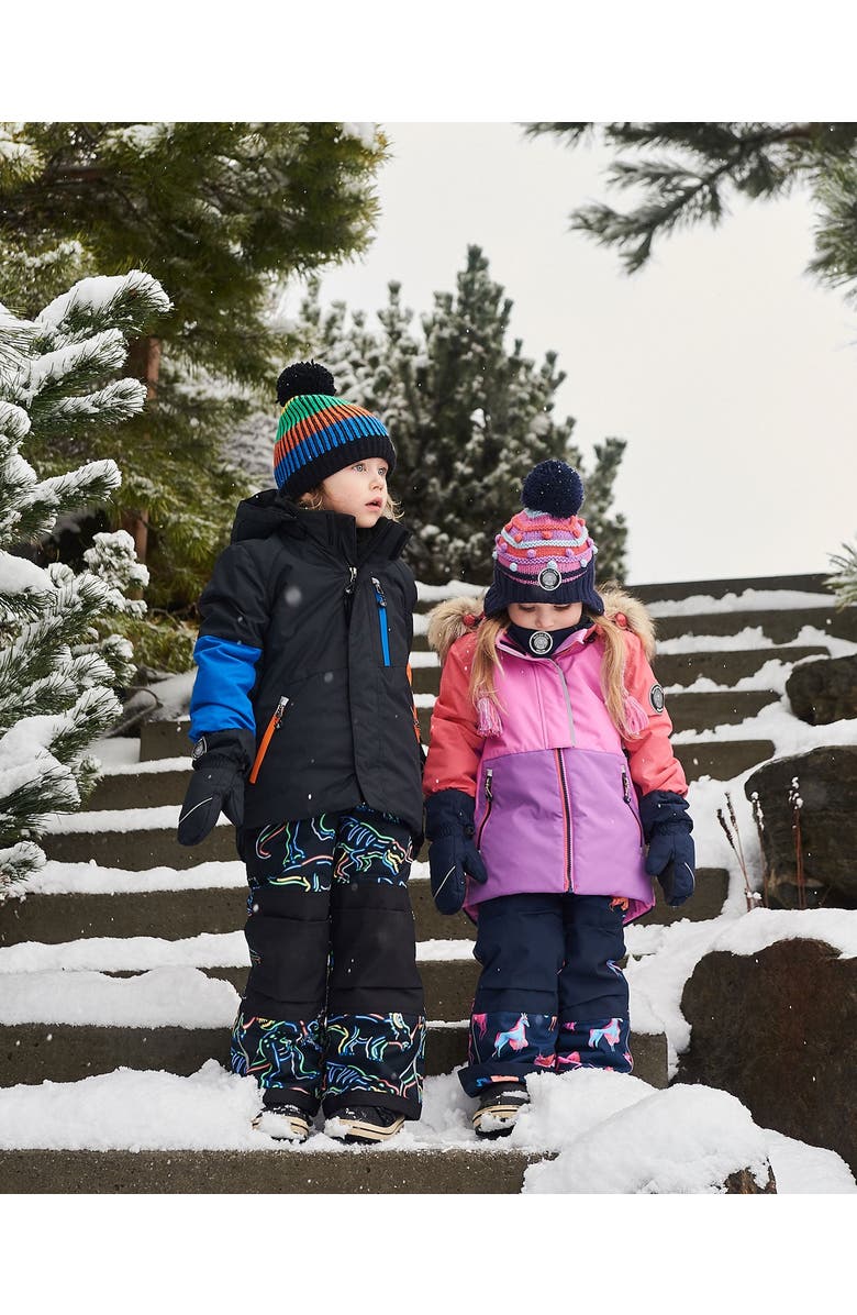 Deux par Deux Little Boy's Two Piece Snowsuit Black Printed Dinos, Alternate, color, 