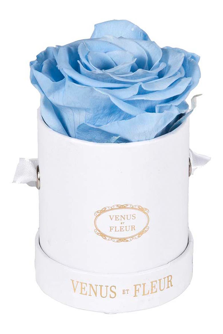 Classic Le Mini™ Round Eternity Rose, Main, color, BABY BLUE