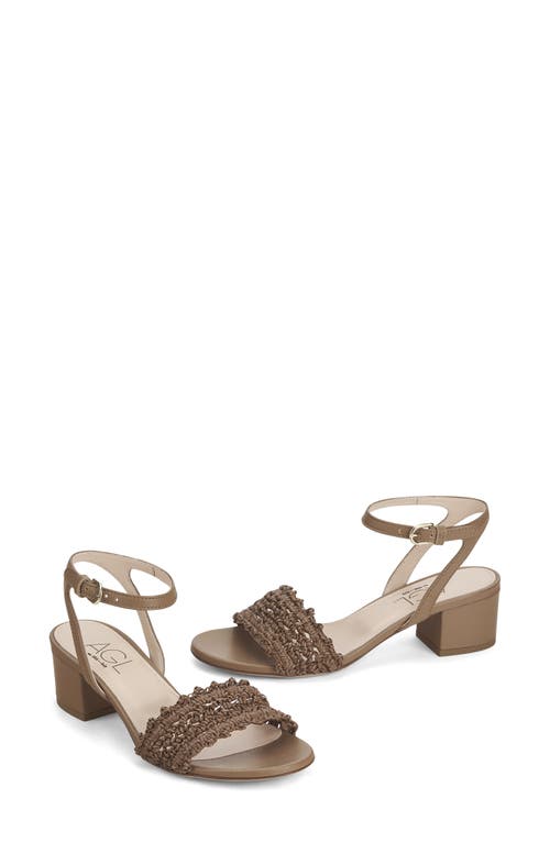Agl Attilio Giusti Leombruni Agl Lala Ankle Strap Sandal In Cocoa-cocoa