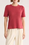 Adrianna Papell Pointelle Stitch Short Sleeve Sweater