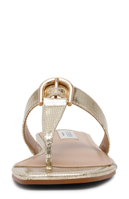 STEVEN NEW YORK STEVEN NEW YORK PAVA SANDAL