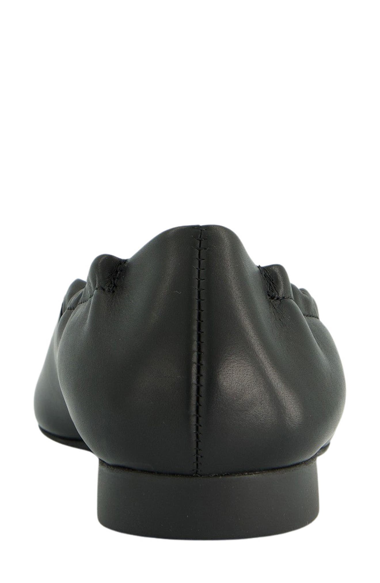 Elly Pointed Toe Flat, Alternate, color, BLACK LEATHER