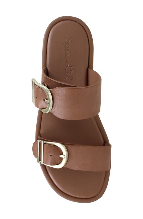 Splendid Women's Farrin Slip On Buckled Slide Sandals In Macchiato