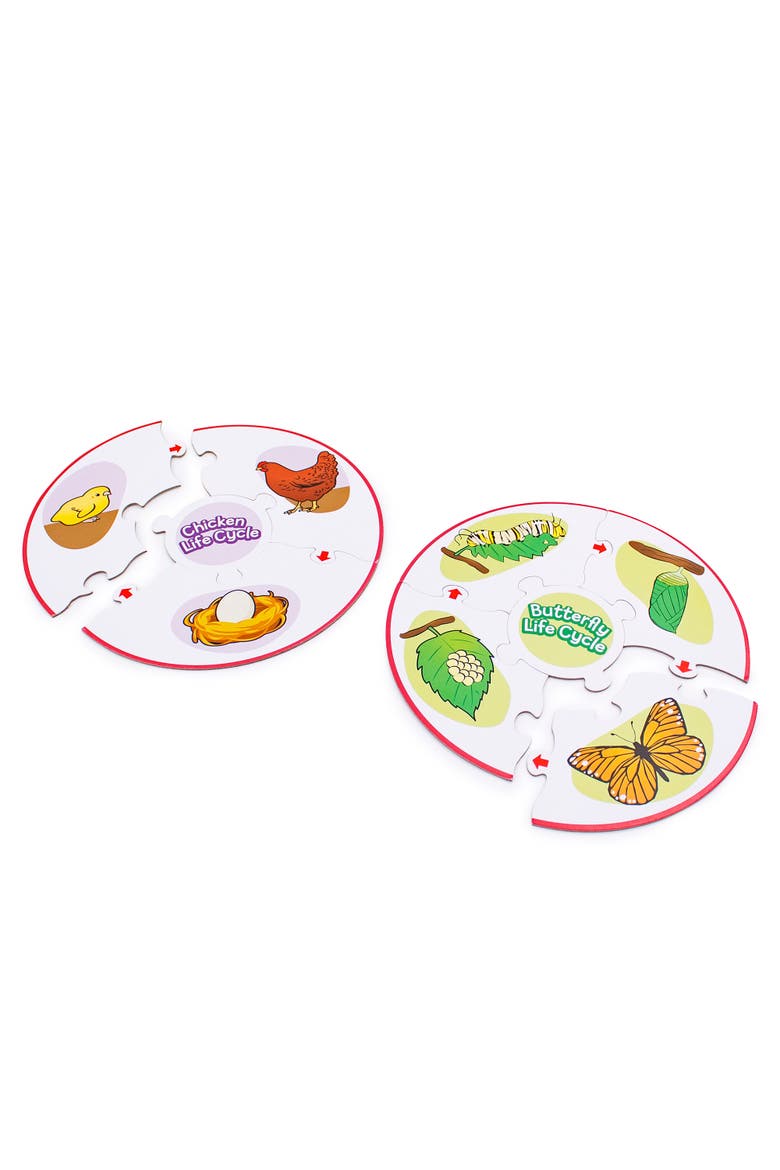 Life Cycle Science Learning Puzzles, Alternate, color, Multicolored