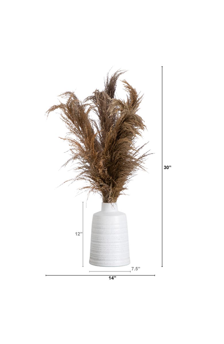 NEARLY NATURAL 30-in Dried Natural Pampas Arrangement in Ceramic Vase, Alternate, color, Green