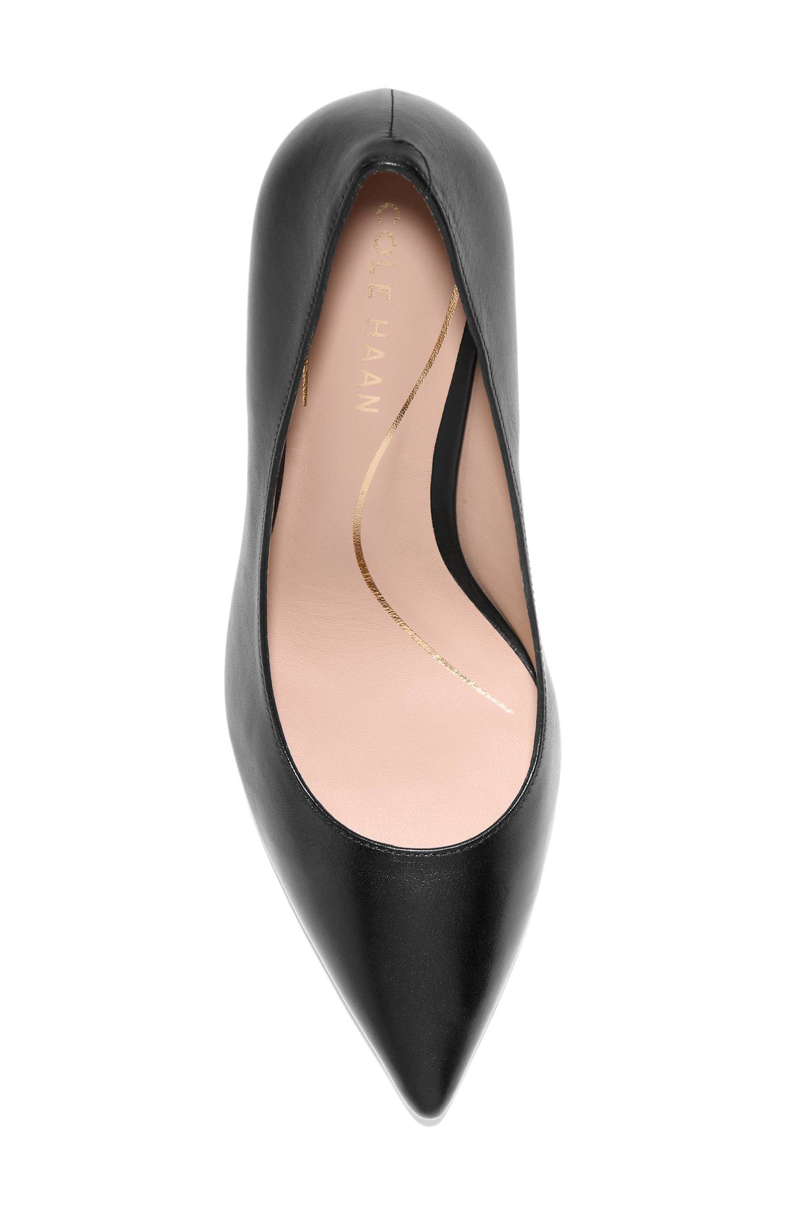 Vivica Pointed Toe Pump, Alternate, color, BLACK LEATHER