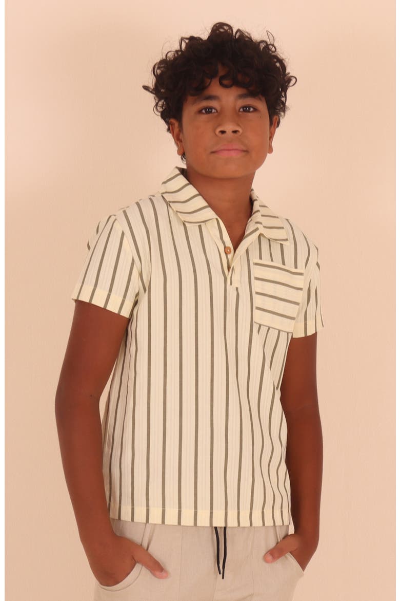 Kids' Vertical Stripe Polo Shirt, Alternate, color, OLIVE