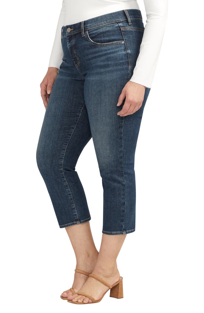 JAG Maya Pull-On Skinny Jeans, Alternate, color,