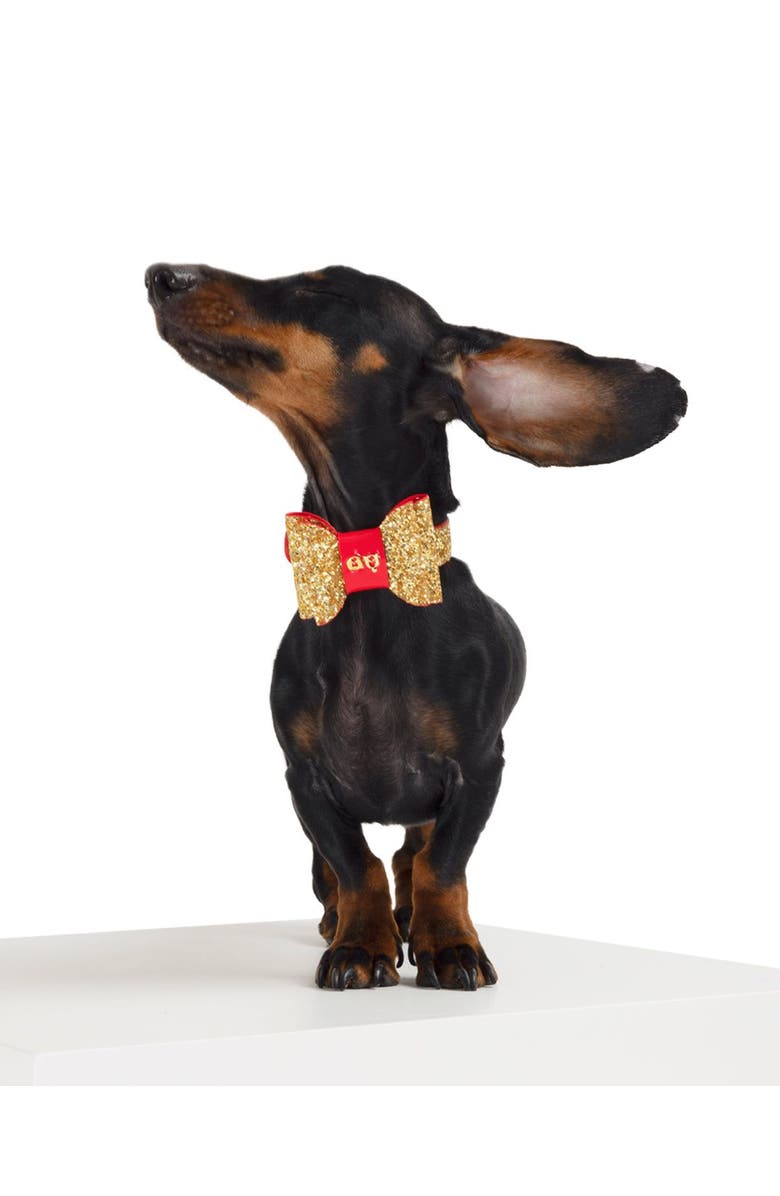 Moshiqa Glam Collar, Main, color, Gold