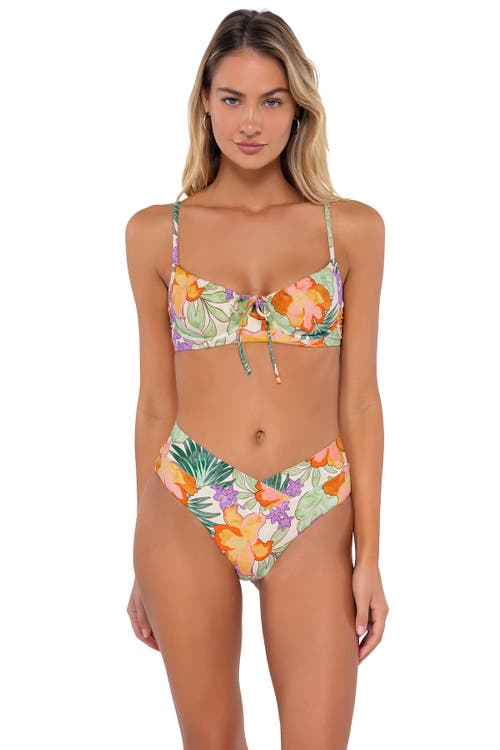 Swim Systems Delfina V Front In Waimea