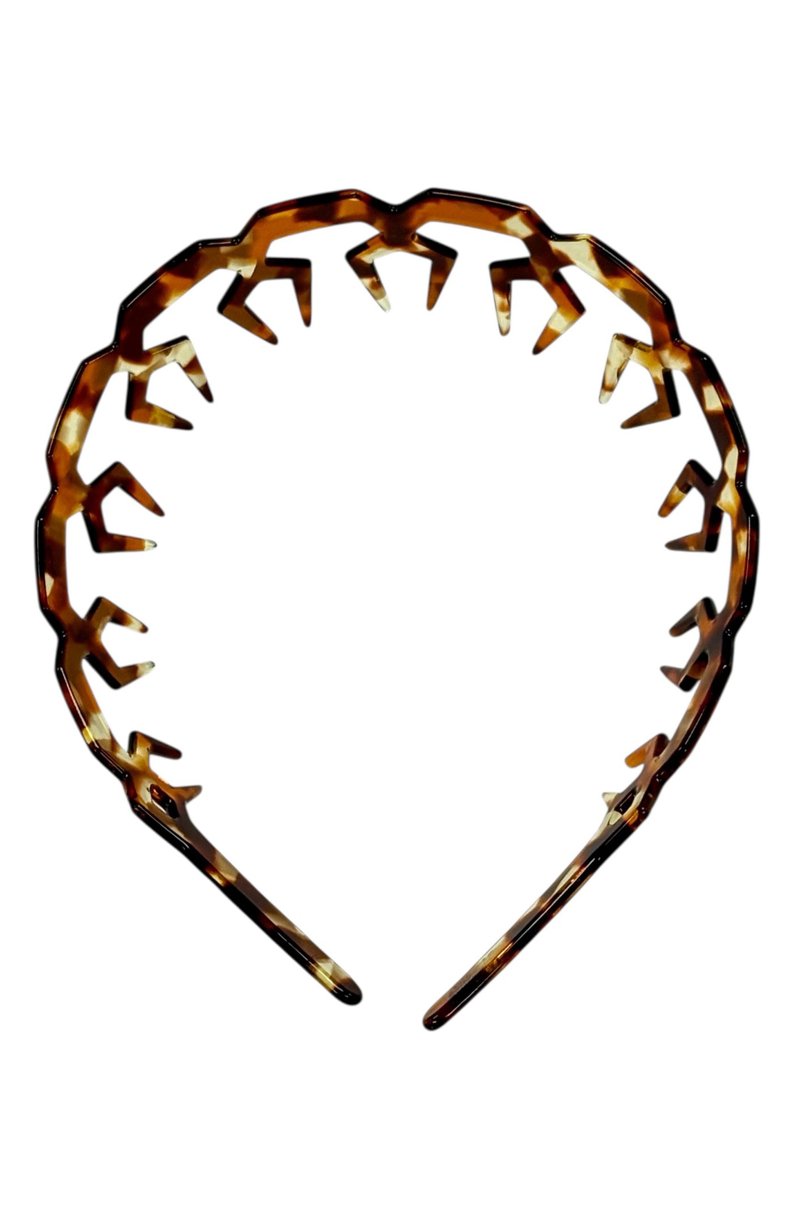 selected DOTTED TORTOISE