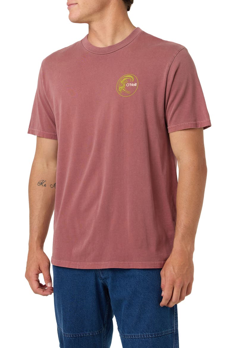 Seaworthy Cotton Graphic T-Shirt, Alternate, color, APPLE BUTTER