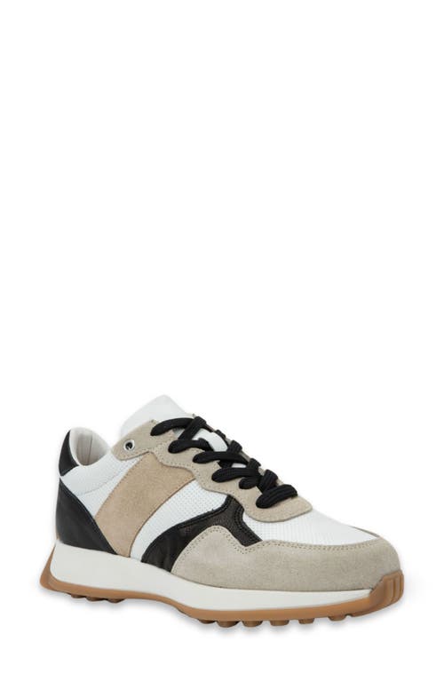 Naot Sunset Sneaker In Multi