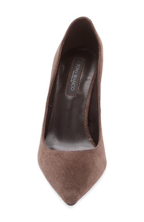 Tony Bianco Anja Pointed Toe Pump In Animal Print