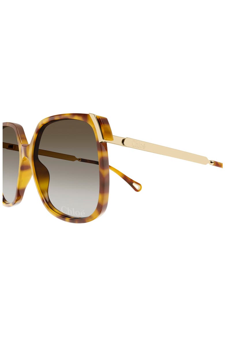 60mm Gradient Square Sunglasses, Alternate, color, HAVANA