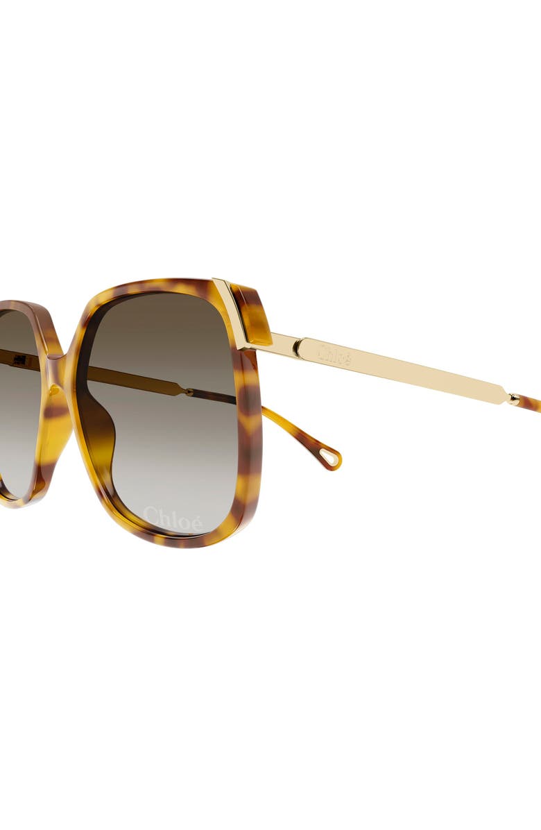 Chloé 60mm Gradient Square Sunglasses, Alternate, color, Havana Brown