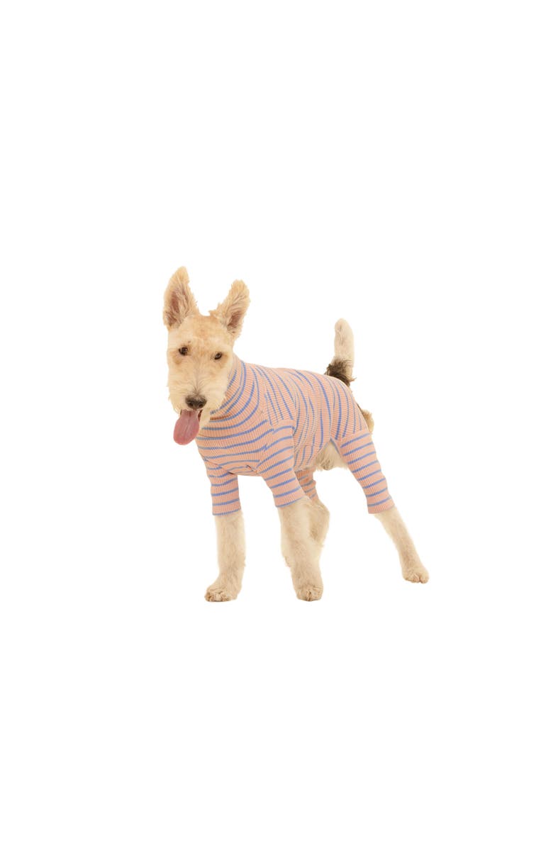 Little Beast Catch Me Outside Pet Bodysuit, Main, color,