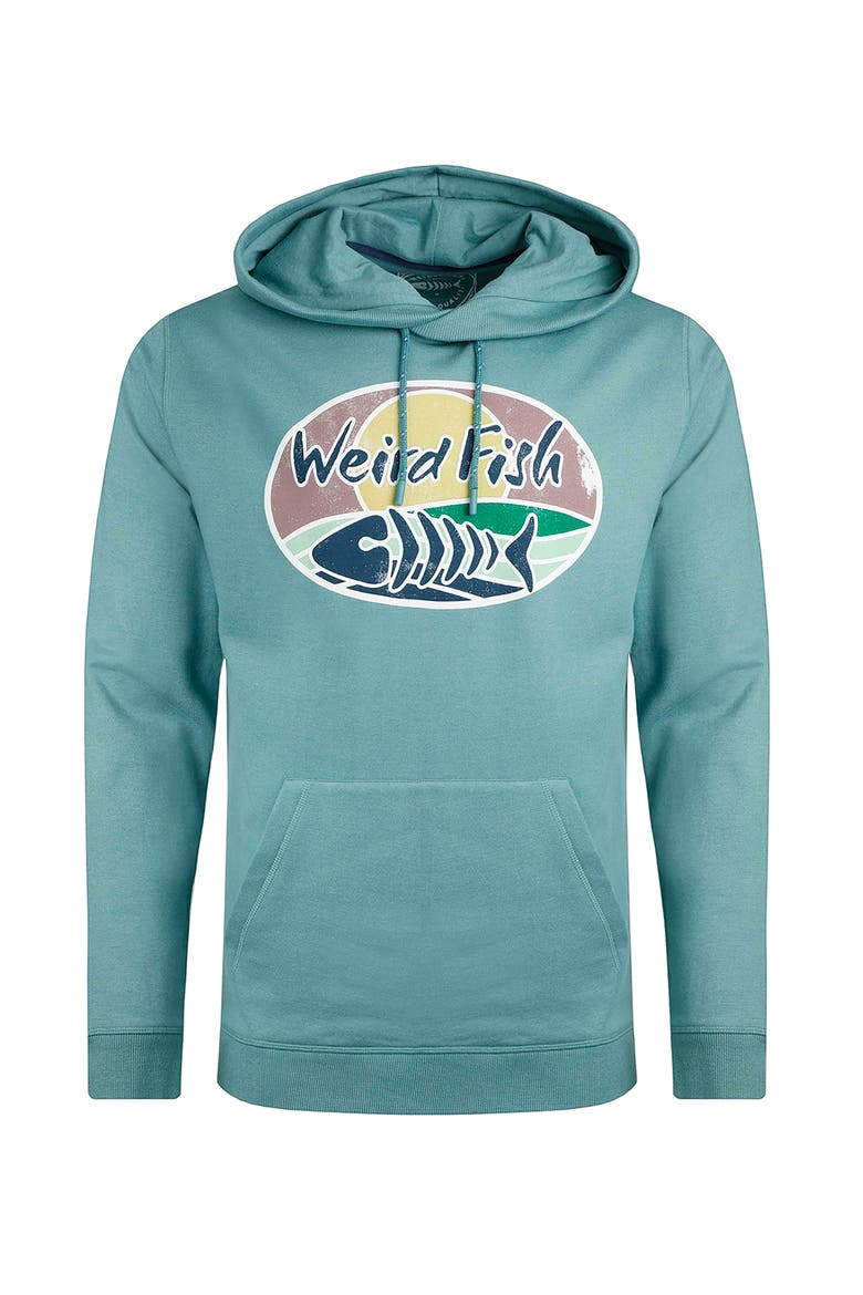 Bryant Graphic Popover Hoodie, Alternate, color, Mineral Blue