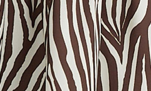 Brave + True Brave+true Alice Zebra Print Long Sleeve Shirtdress