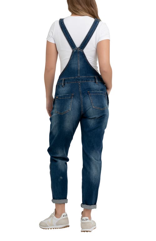 Ripe Maternity Denim Overalls In Purple