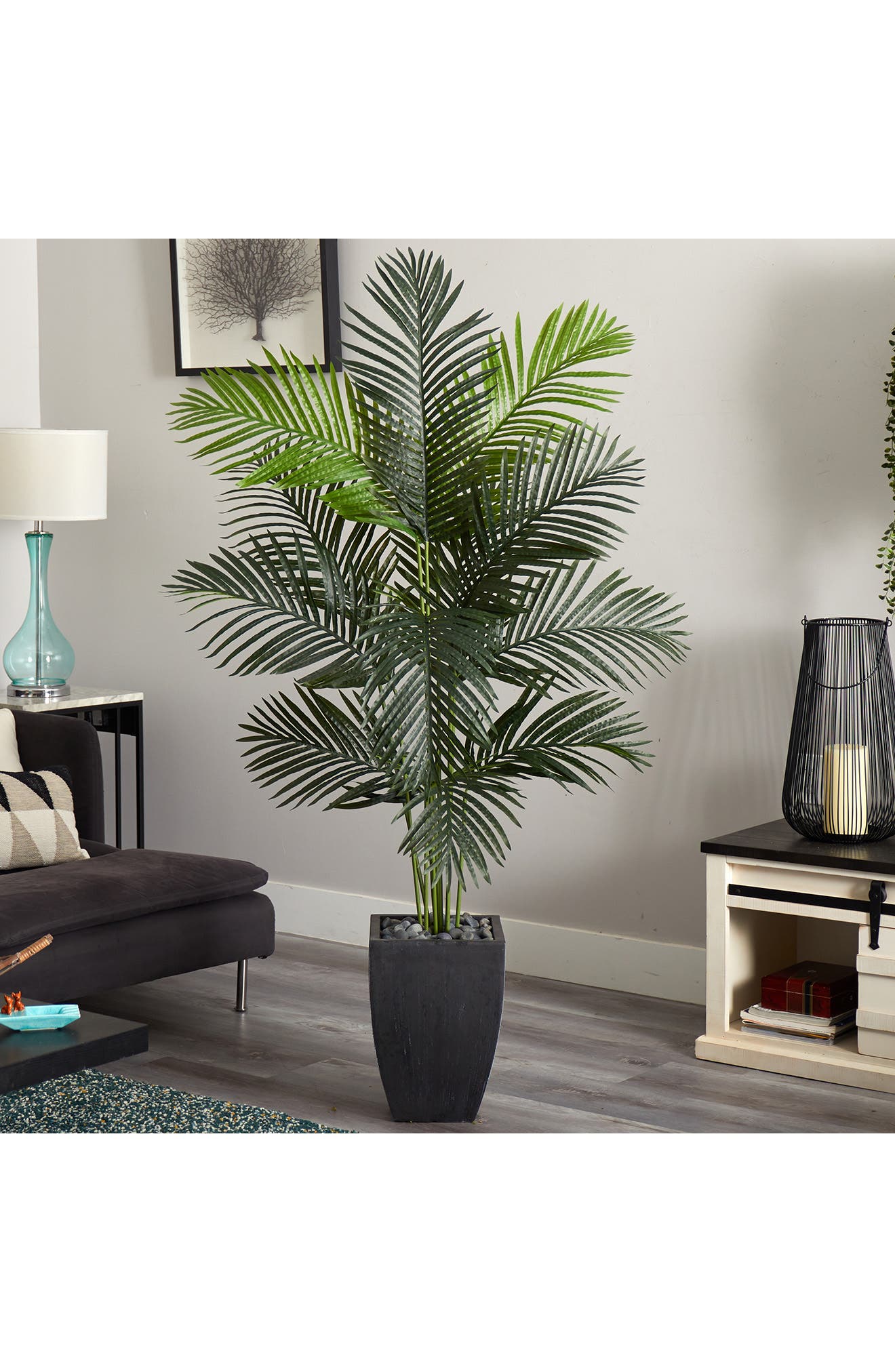 NEARLY NATURAL 5.5 ft. Paradise Artificial Palm Tree | Nordstromrack