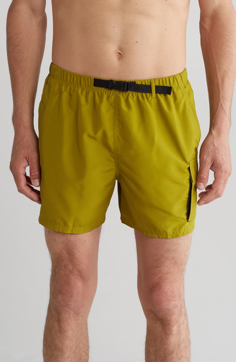 Nike Volley Swim Shorts, Main, color,