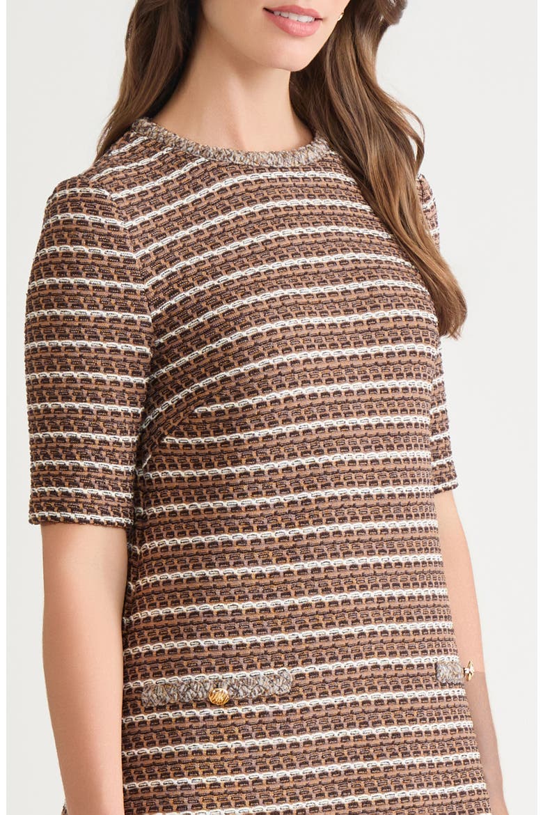 Braid Trim Knit A-Line Dress, Alternate, color, WARM TAUPE/ DARK UMBER/ IVORY