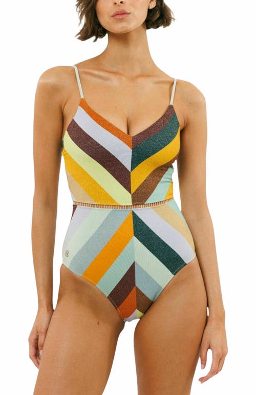 Biliblond Onepiece Arava Stripes In Multi