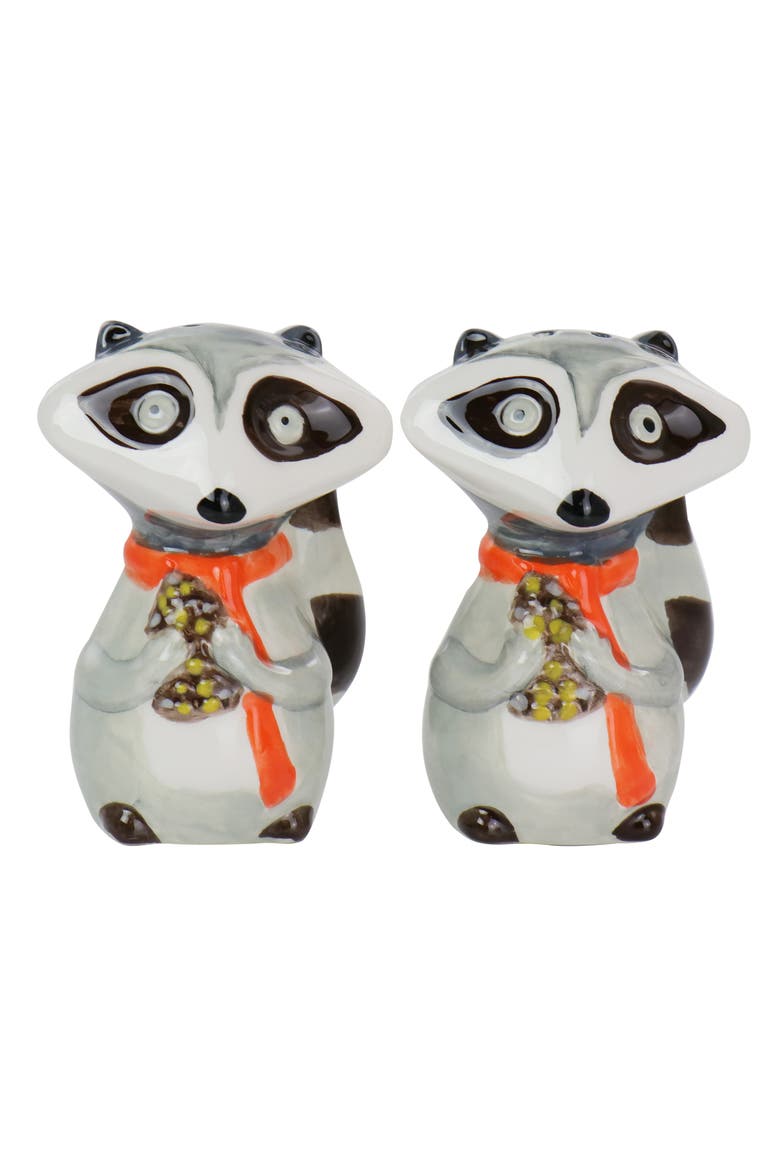 Raccoon 2 Piece Hard Dolomite Salt and Pepper Set, Main, color, Multi